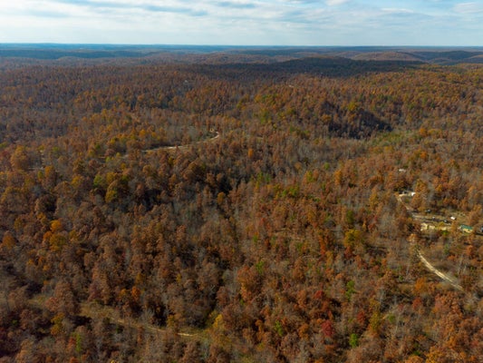 15682 WINDING TRL, BIRCH TREE, MO 65438 - Image ad3e8403c8829d0de386bd2f12cef51b/2596711587