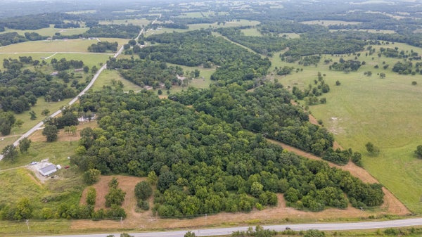 N FARM ROAD 53, WALNUT GROVE, MO 65770 - Image ae53bafd24260ddefb39dbf6c6ebf9d8/738051310