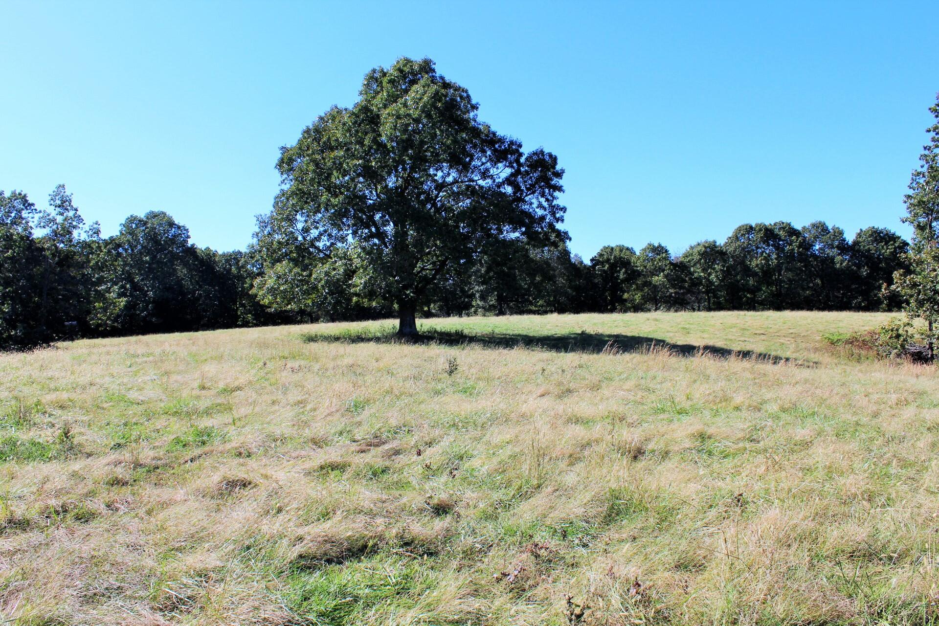 This 139 acre property is located in McDonald County off Carlin Ridge Rd, Pineville, MO 64861. This acreage has electric and rural water at the road. The pasture has been used primarily for grazing. A pond is centrally located and is spring fed. The wooded areas setup nicely for holding wild game and there are no shortages of deer on the property. Several areas would be perfect to build your dream home with vista views. Additional acreage can be purchased.