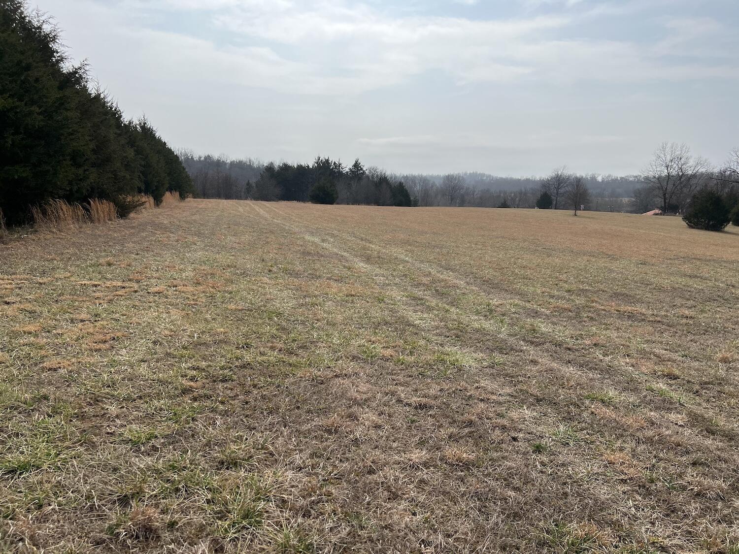 ACREAGE/SPRING RIVER AREA  Estimated 13, subject to survey and actual sale price to be determined at $7,000 per acre. This is an outstanding property mostly open with 10 or so acres for hay ground or pasture. Some in small woods. Beautiful views of surrounding country side. Access to Spring River will have to be worked out between buyer and resort owner. There are restrictions.  Estimated price  subject to surveyed acreage $91,000