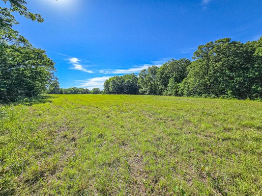 COUNTY RD 8, CROSS TIMBERS, MO 65634 - Image aeb5abb4cab0542348a2b7984e200ef0/2738163854