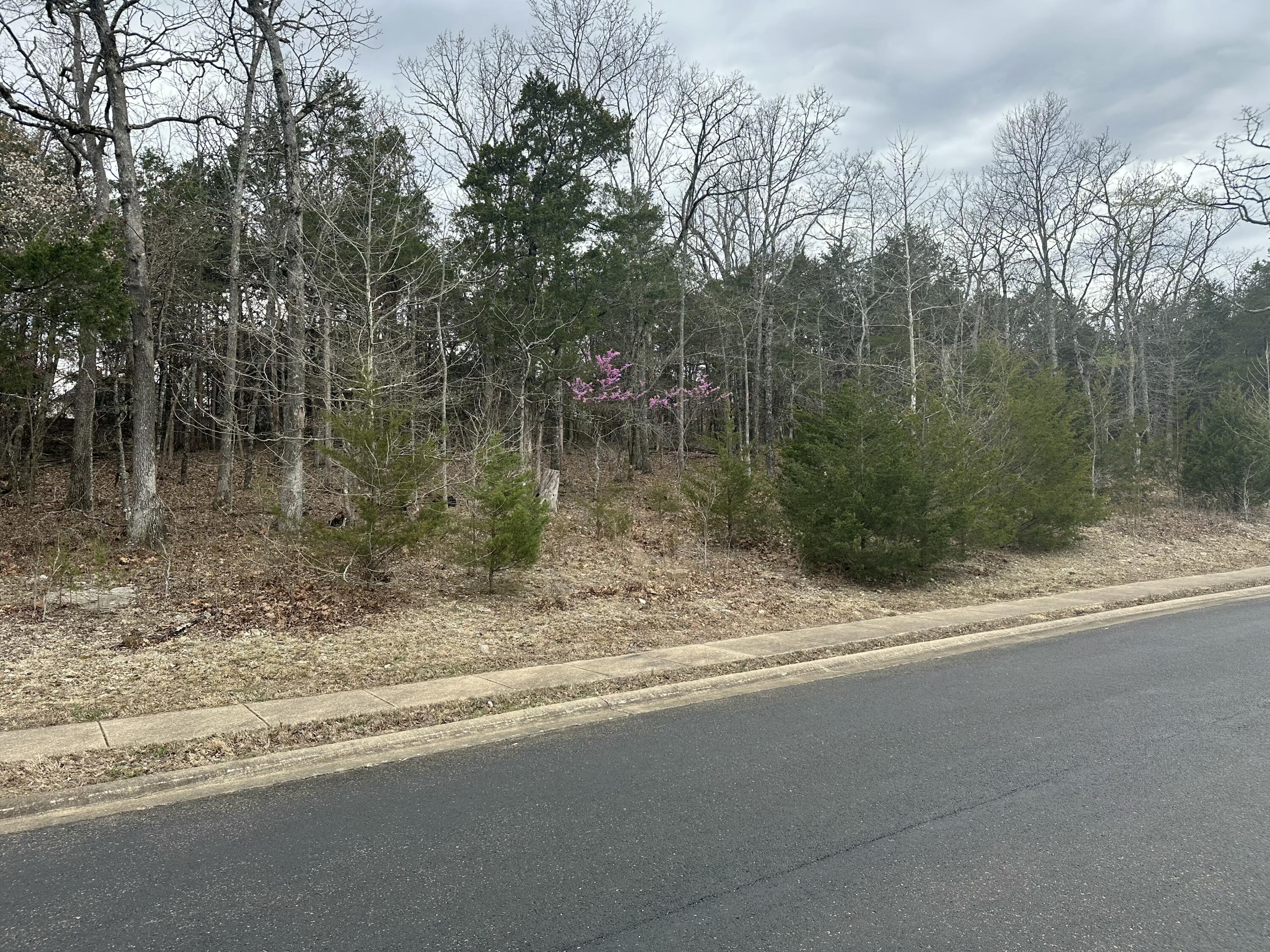 Dreaming of the perfect place to build your home? This stunning homesite is nestled in Branson Hills, a premier gated golf community offering top-tier amenities and an unbeatable location. As a homeowner, you'll enjoy access to an elegant clubhouse, resort-style pool, tennis courts, fitness center, and an on-site restaurant and bar. Golf enthusiasts will love having a world-class course right in their backyard! Plus, you're just minutes from the Branson Rec Center, top-rated Branson Schools, shopping, dining, and Highway 65 for easy travel. Don't wait--bring your vision to life and start building today!  There is more...The sellers own the lot next door and would package them together for a discount.