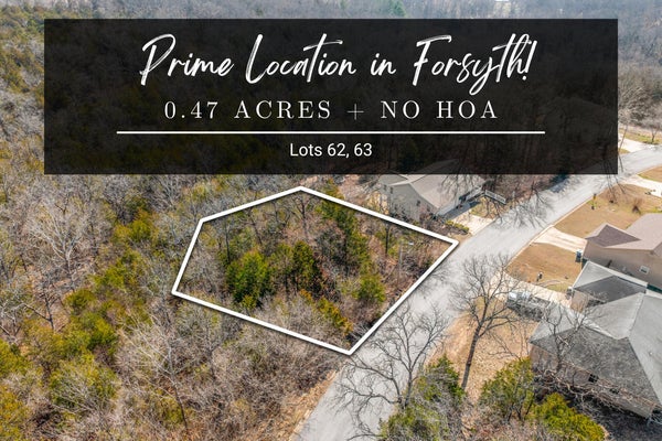 LOTS 62 & 63 EAGLE DRIVE, FORSYTH, MO 65653 - Image afac1f8a46c9397540db2dff2829984e/1056066158