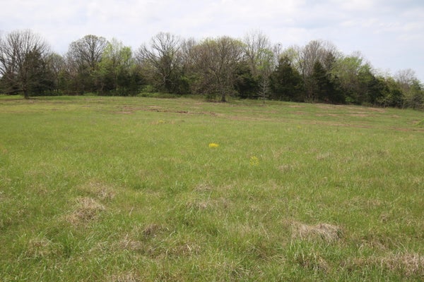 37 RIVER PASS DR, MARSHFIELD, MO 65706 - Image b013a2e4258385659c366cc4f0ccae07/1504380191