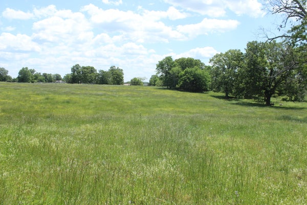 106 W HWY, THAYER, MO 65791 - Image b2953b05f75d4e65a55abc1cb8ec2dc4/3337461772