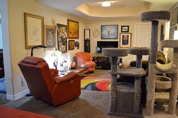 180 GRACE CHAPEL RD UNIT 221, BLUE EYE, MO 65611 - Image b4549a9534066dfa0819a6f6d6cd8778/2790663955