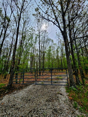 9 STATE HIGHWAY O, BAKERSFIELD, MO 65609 - Image b4afae7af7443ccb87eaa99827fec563/209274198