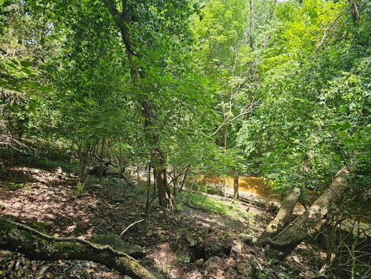 3486 N FARM ROAD 143, SPRINGFIELD, MO 65803 - Image b5e0b4e33081854ce2ac186f7008f0f2/2653714604
