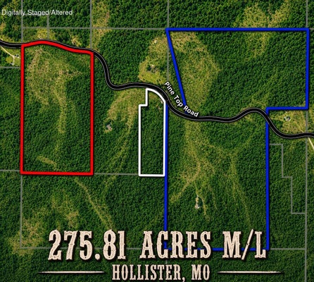 PINE TOP RD, HOLLISTER, MO 65672 - Image b605a4c8f007ca089abcac8737ba4757/692615702