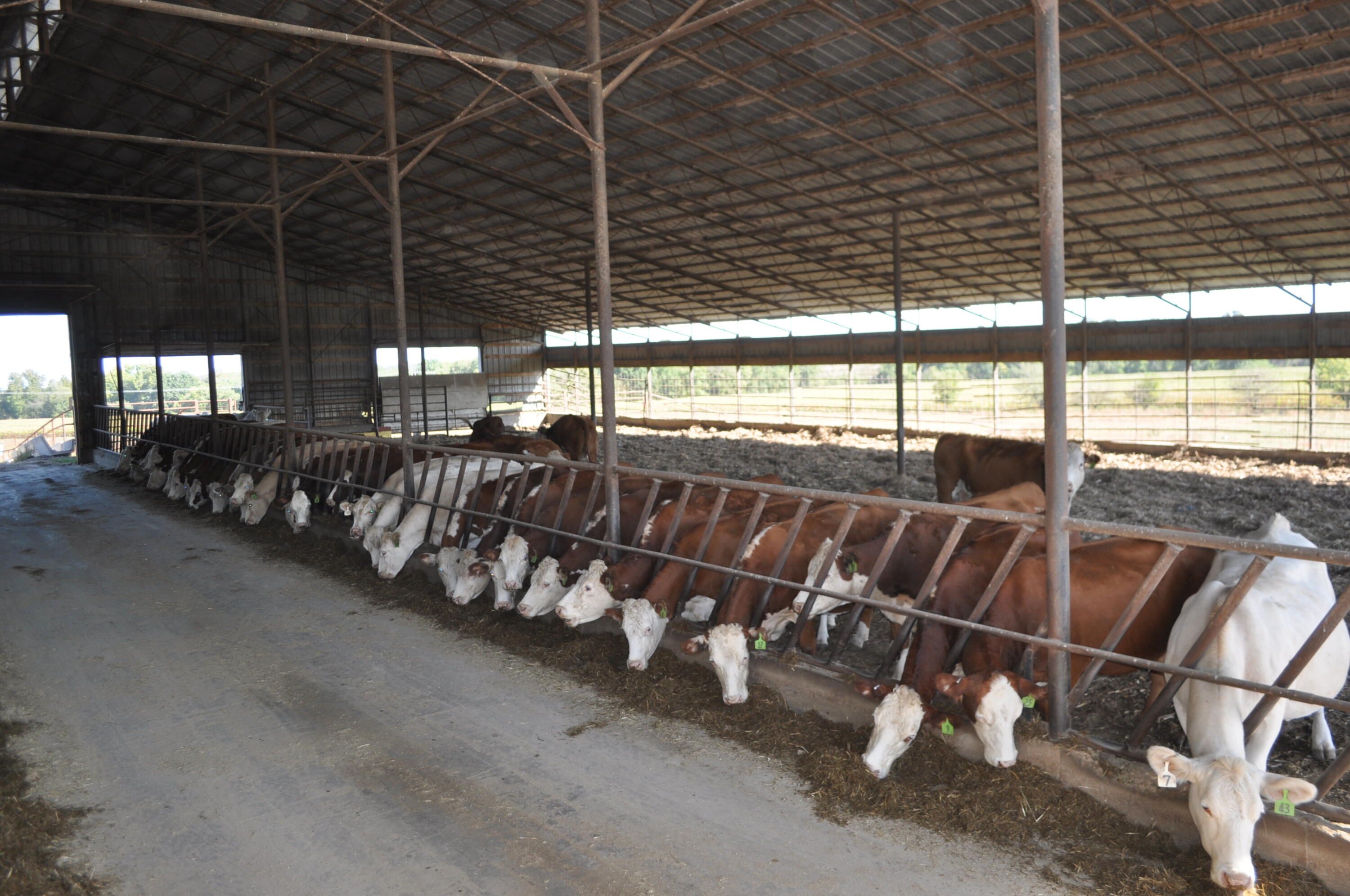 N/A - Farm
