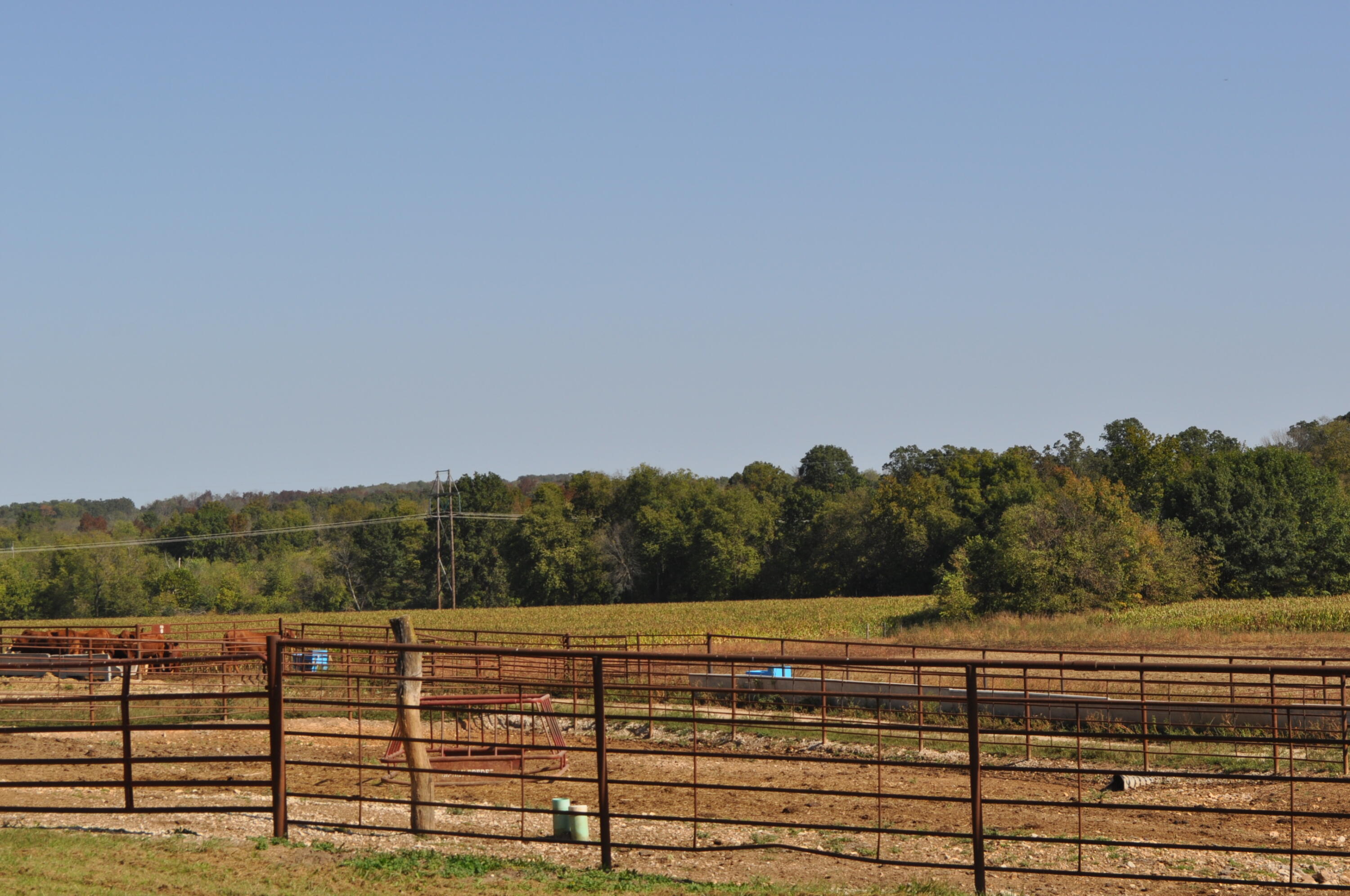 N/A - Farm