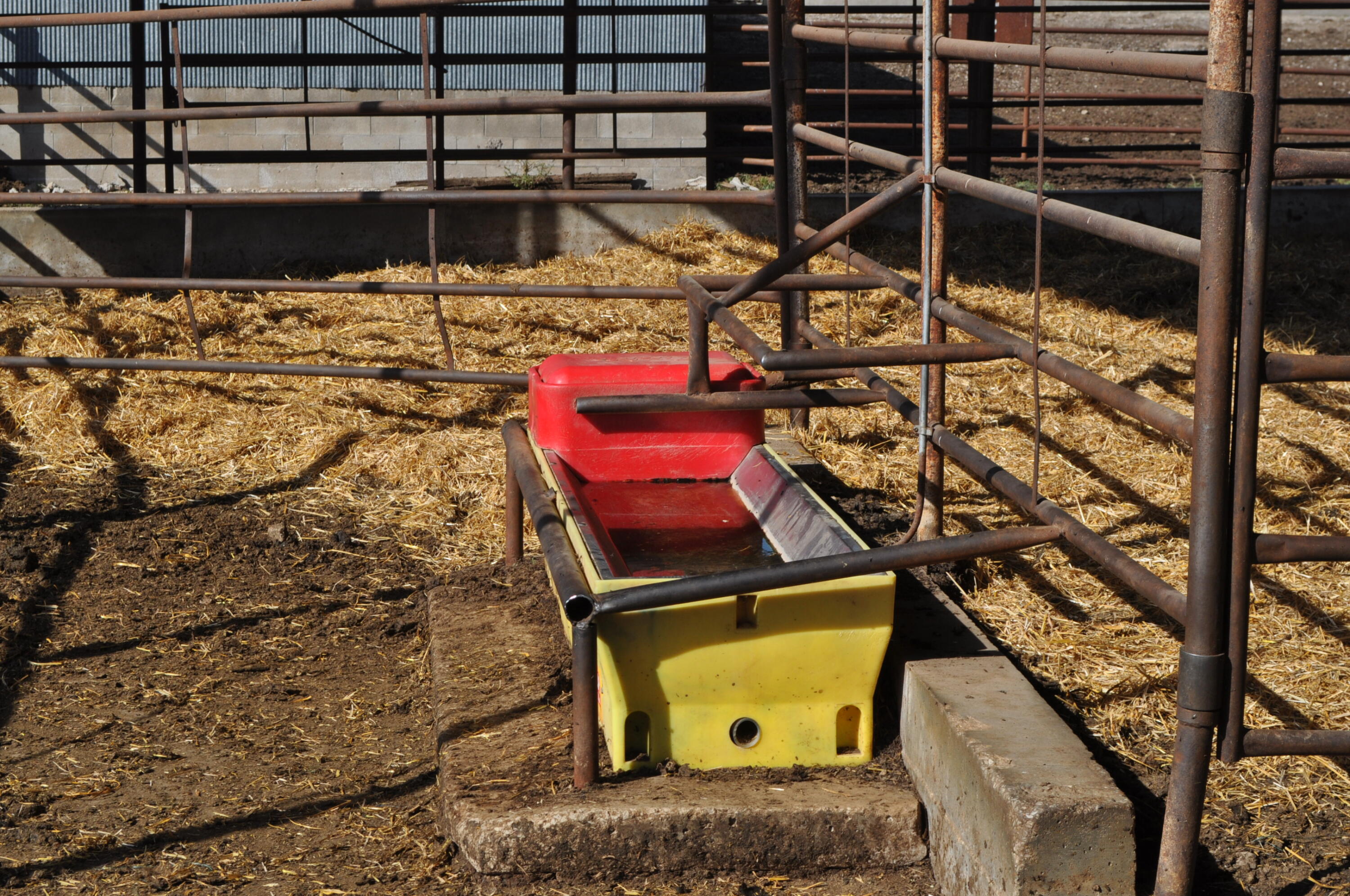 N/A - Farm