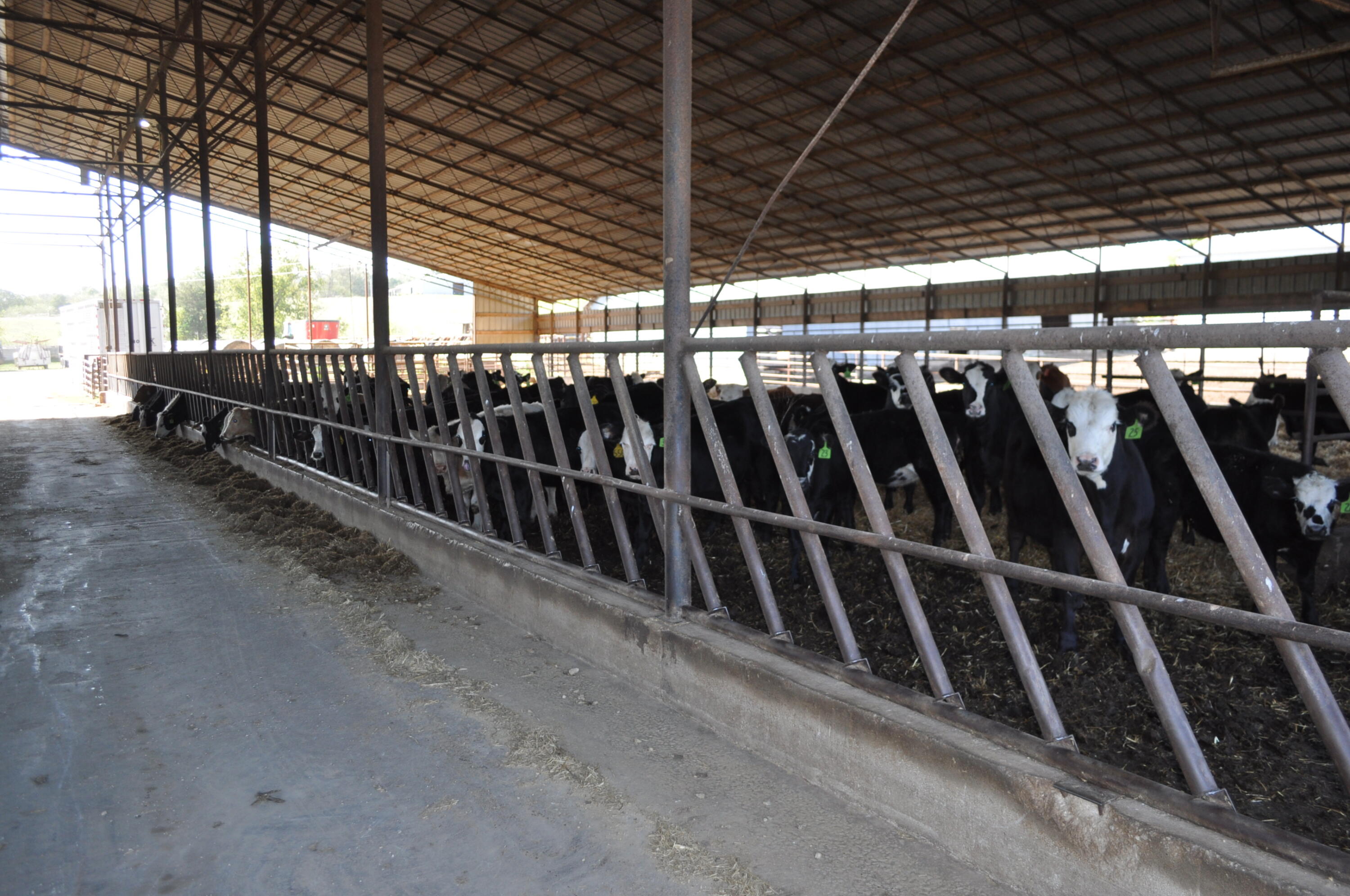 N/A - Farm