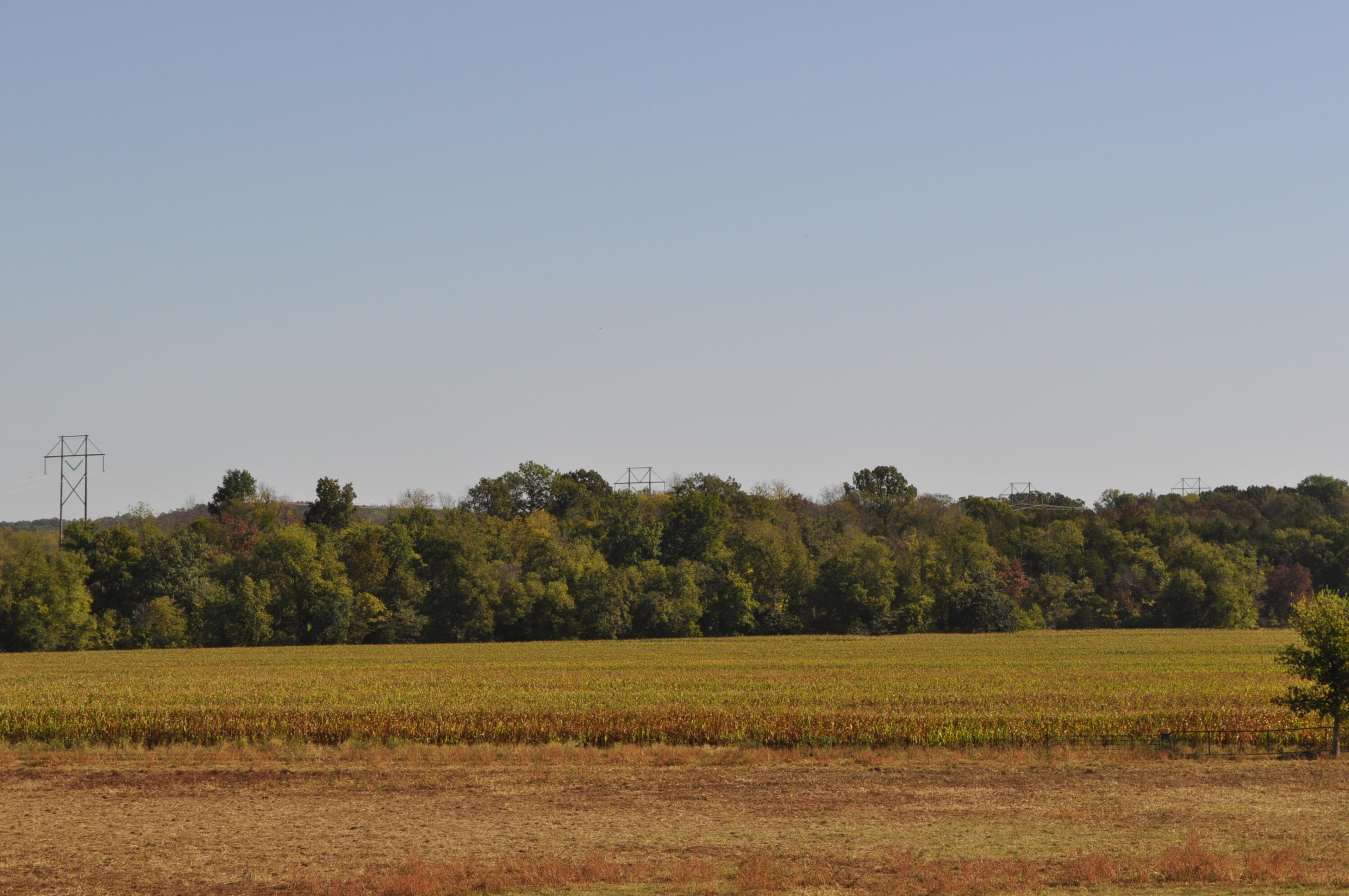 N/A - Farm