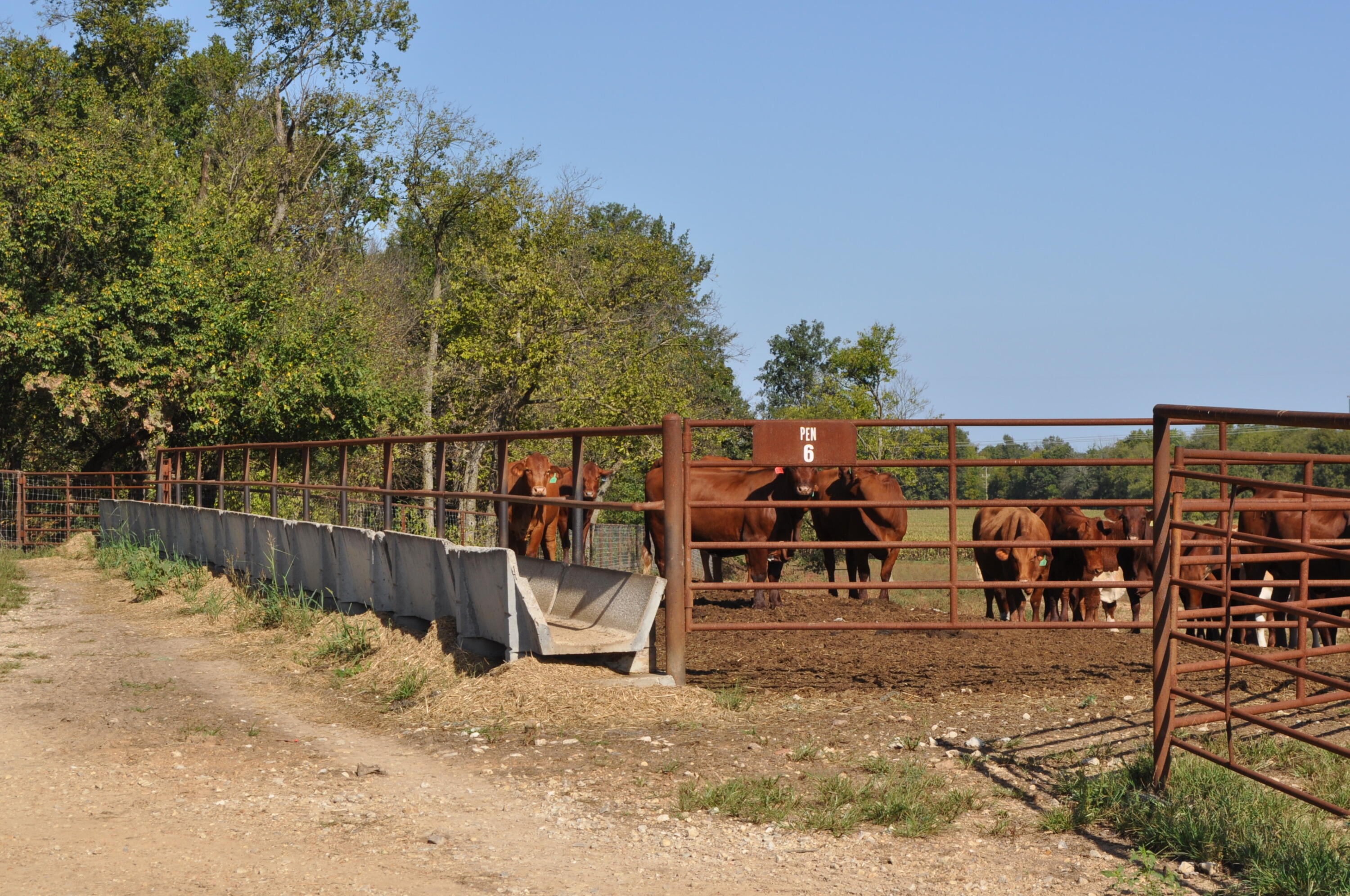 N/A - Farm