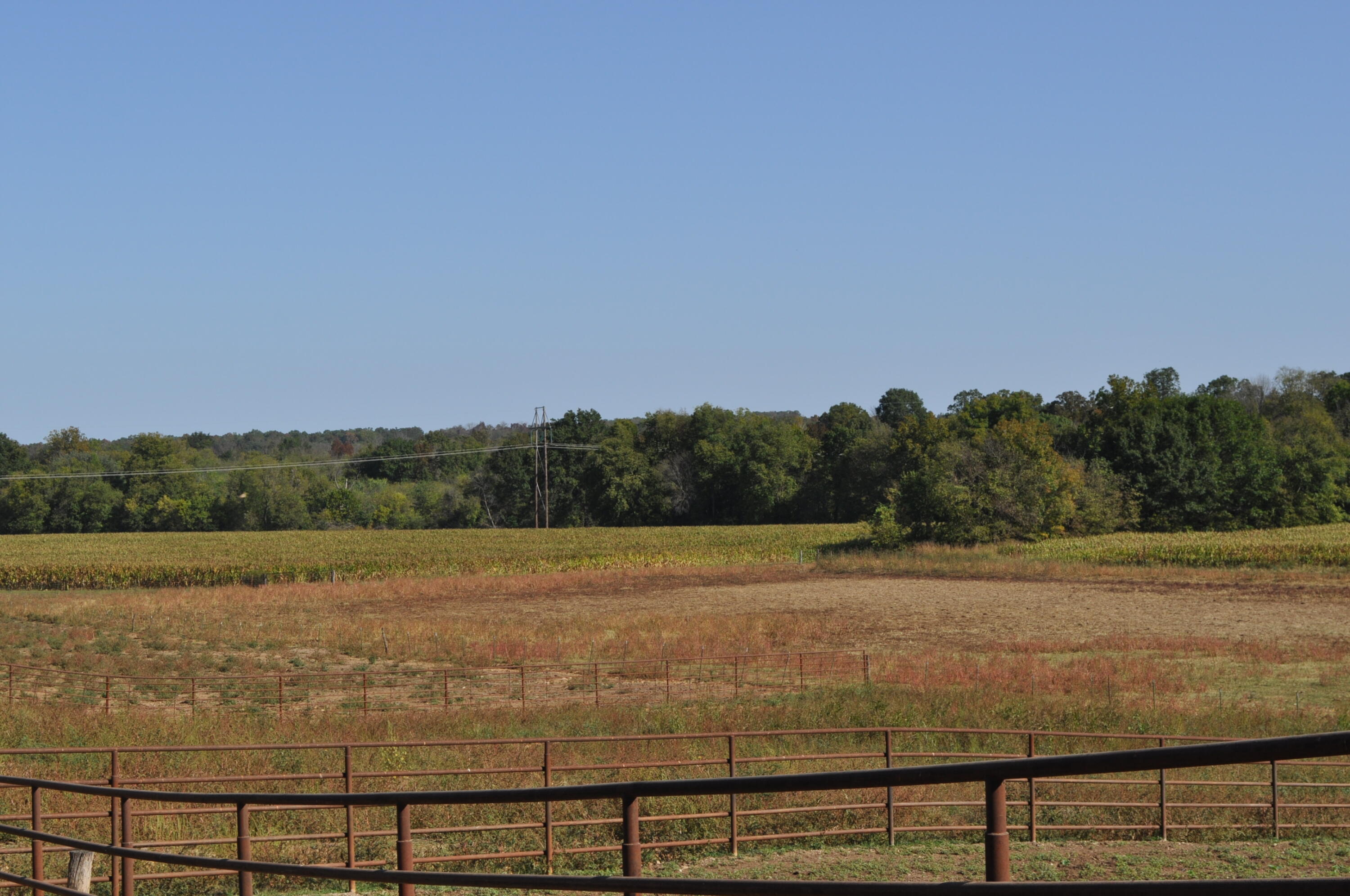 N/A - Farm