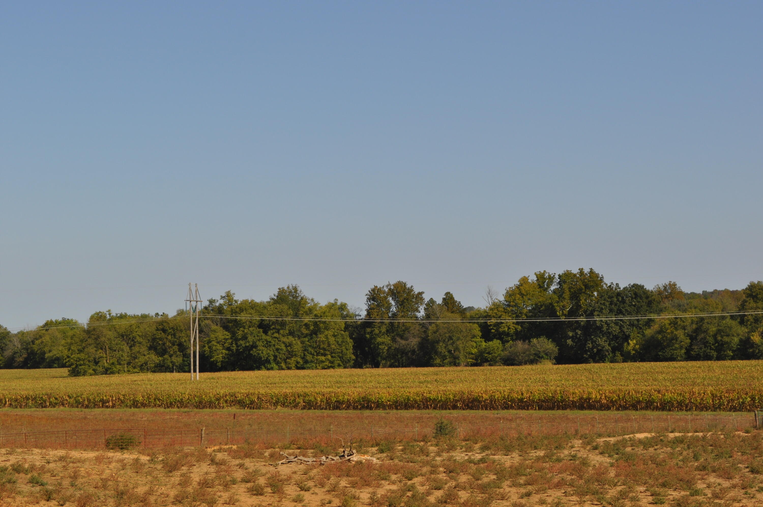 N/A - Farm