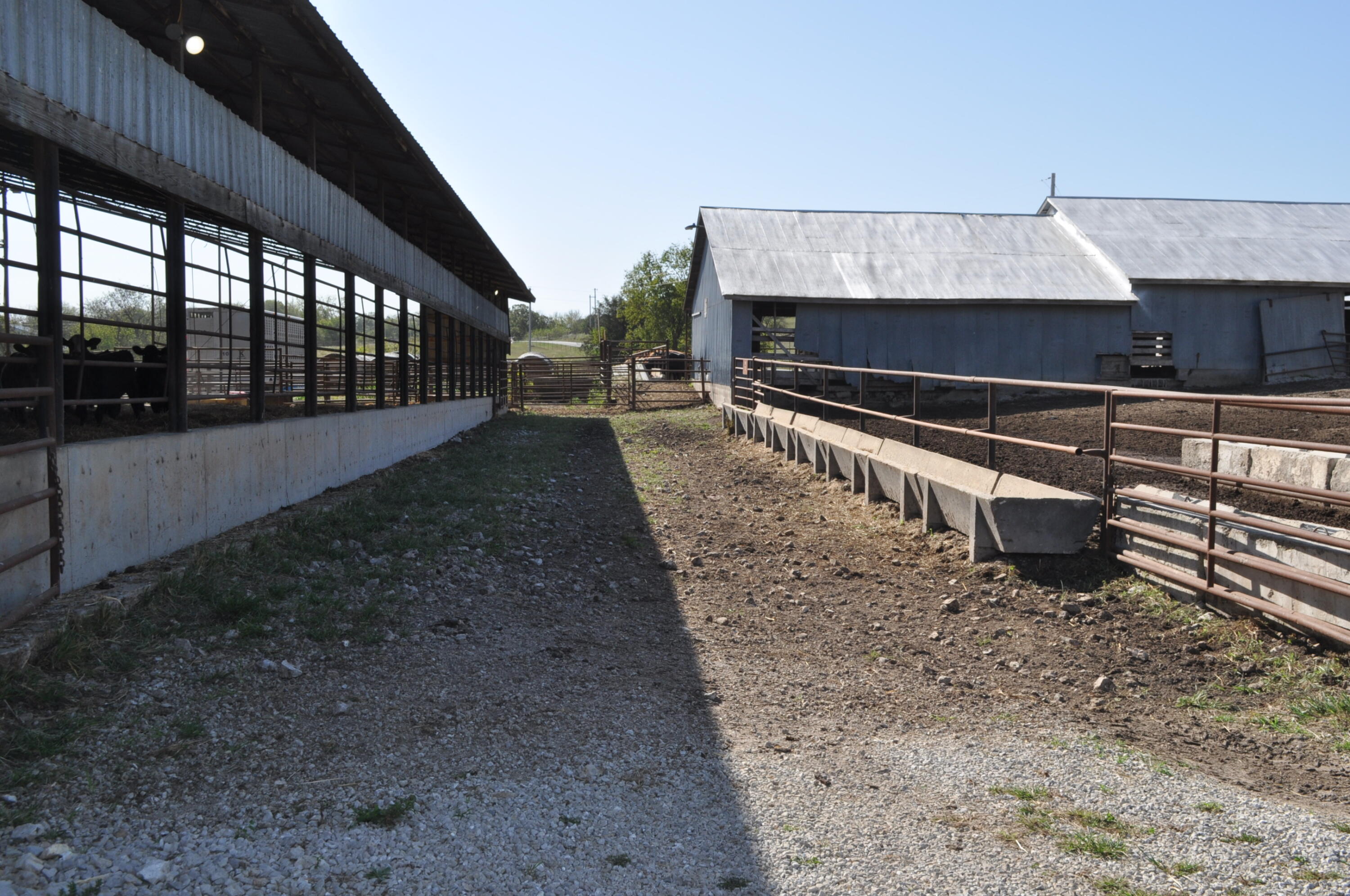 N/A - Farm