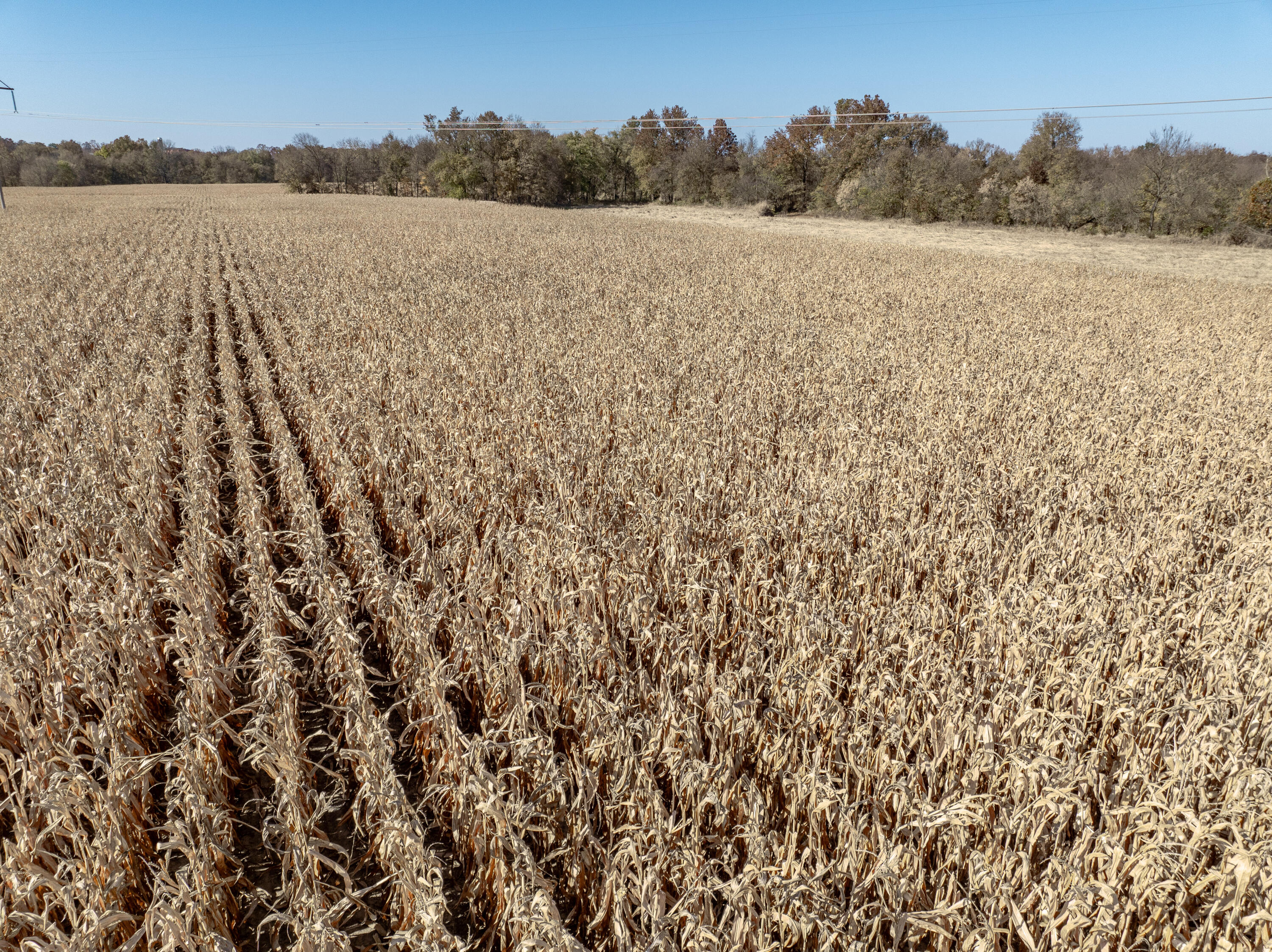 N/A - Farm
