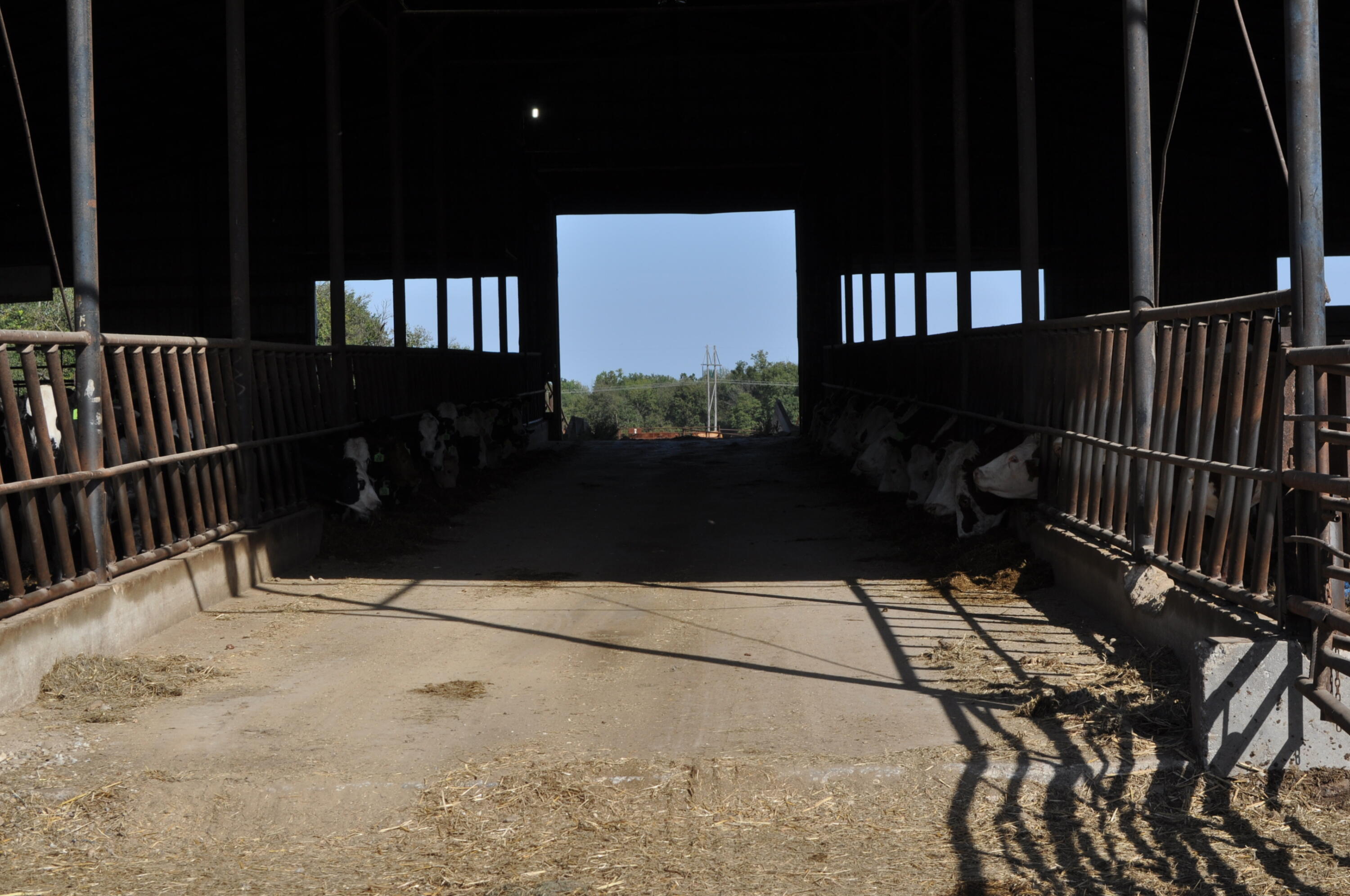 N/A - Farm