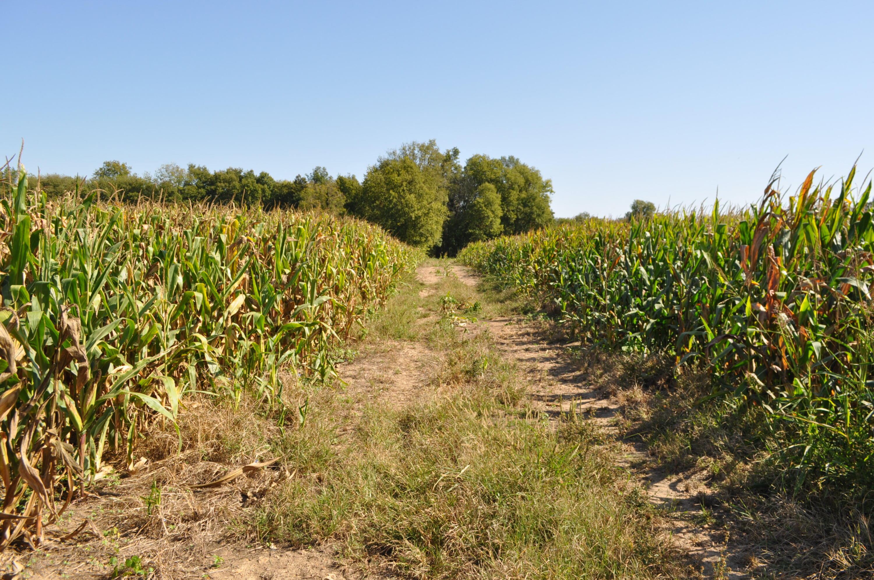 N/A - Farm