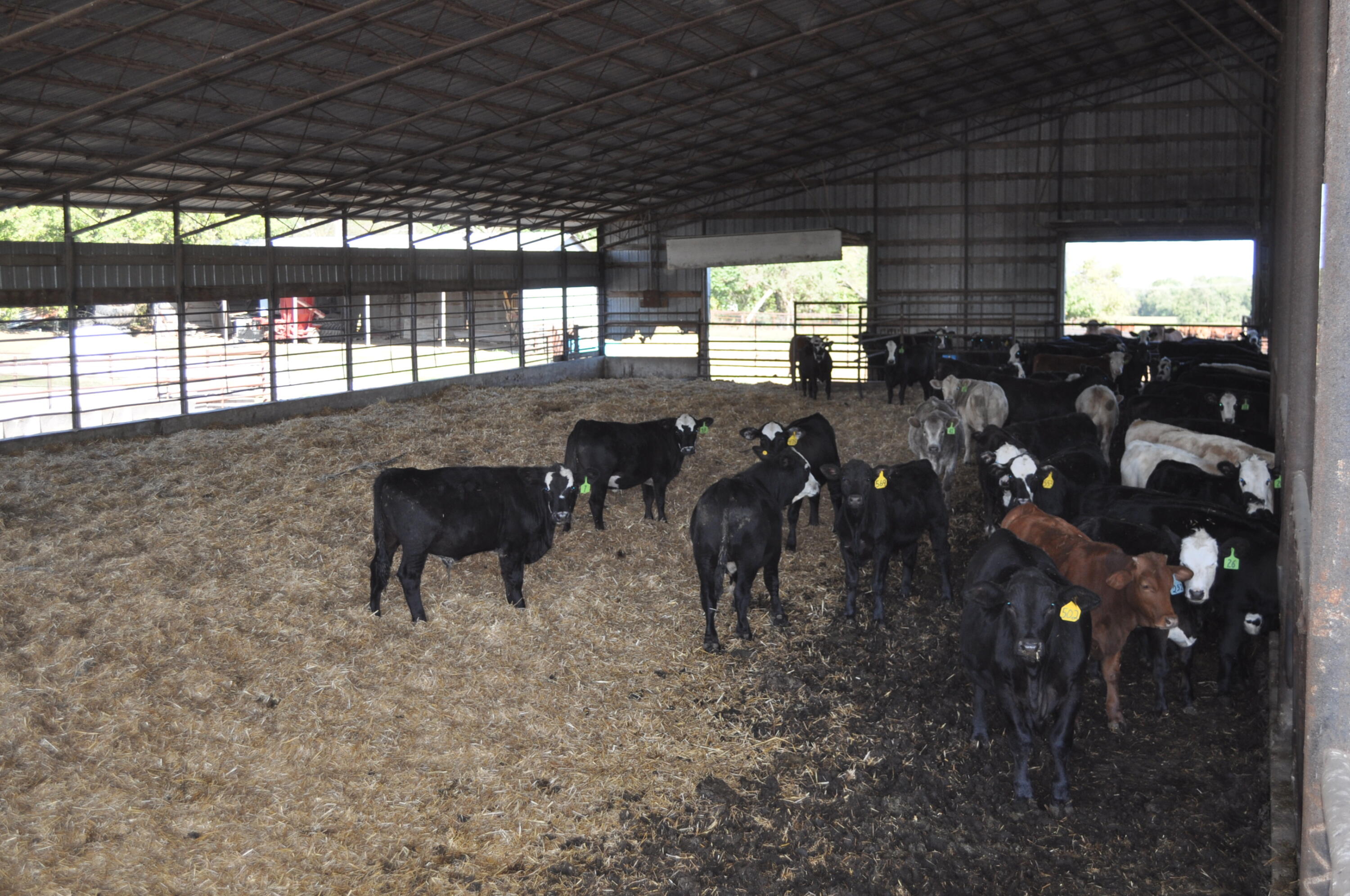N/A - Farm