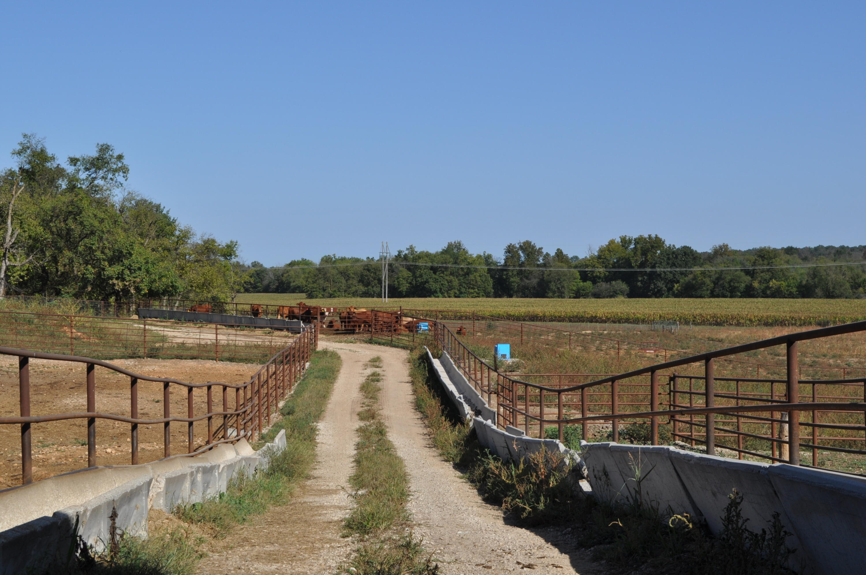 N/A - Farm