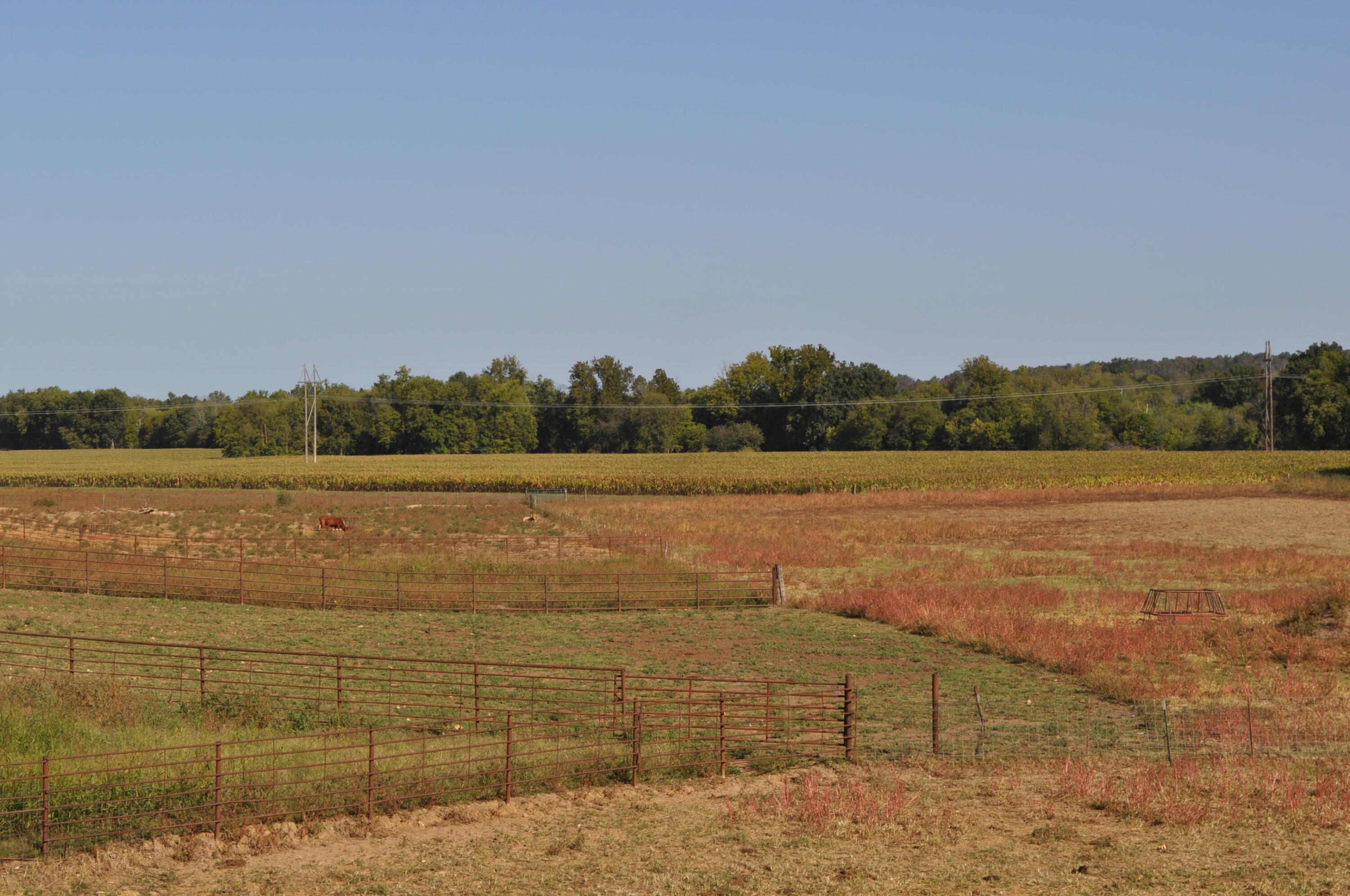 N/A - Farm