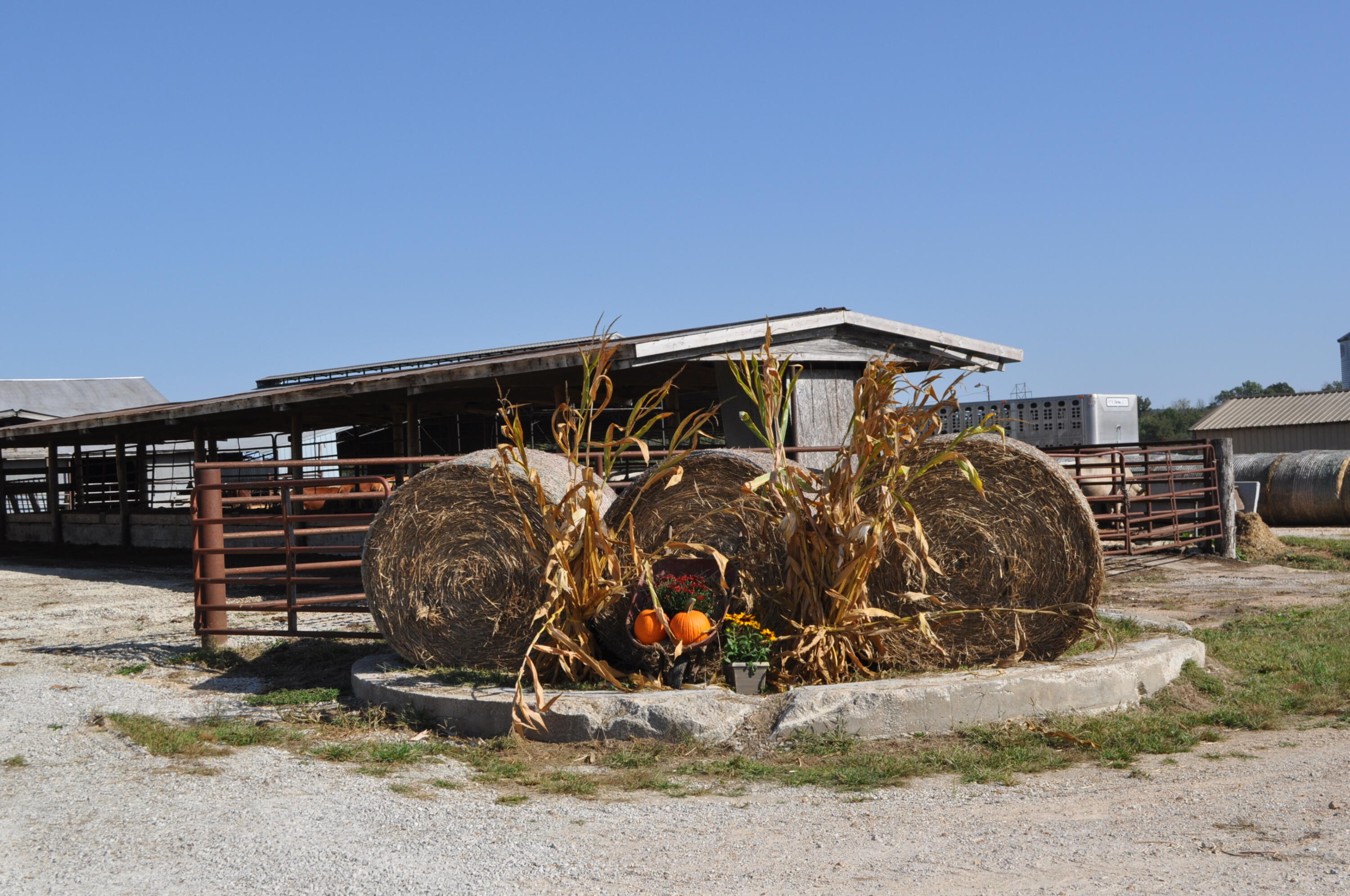 N/A - Farm