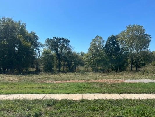 733 S REAGHAN LN, REPUBLIC, MO 65738 - Image b71ee7ffc4ee0493273f2494bd6fa8f2/2361982818