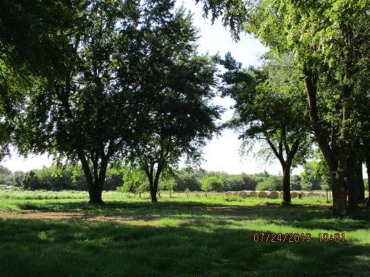 4800 W MOUNT VERNON ST, SPRINGFIELD, MO 65802 - Image b7778ba4e41387f6b456cb36887cf576/435542904