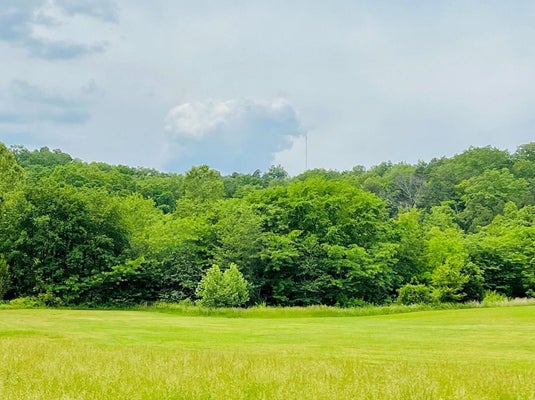 DEER RUN DR, ELLINGTON, MO 63638 - Image b8d24a095c15f18985ab7ecc994d35b3/2481680804