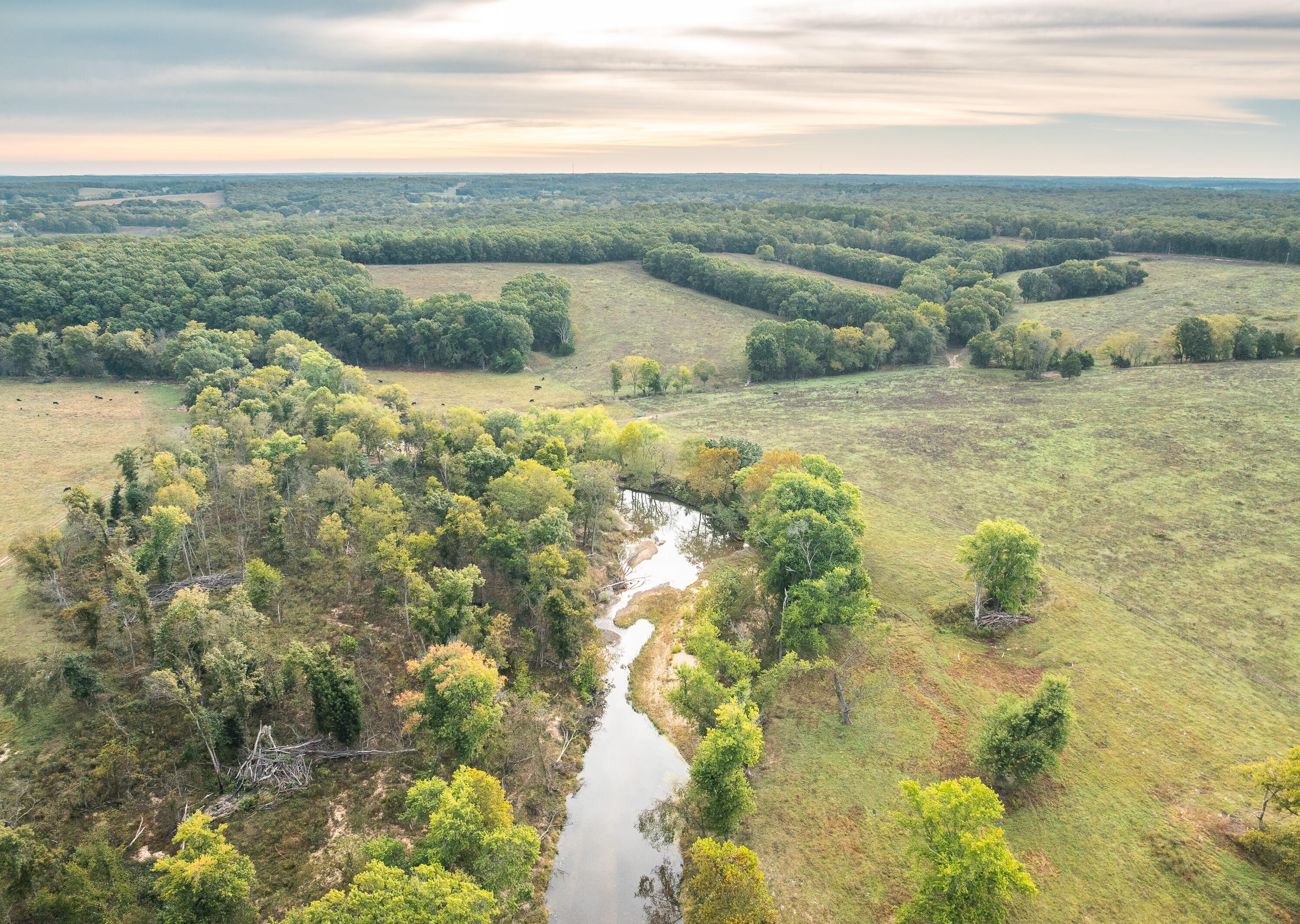 1224 County Road 3165