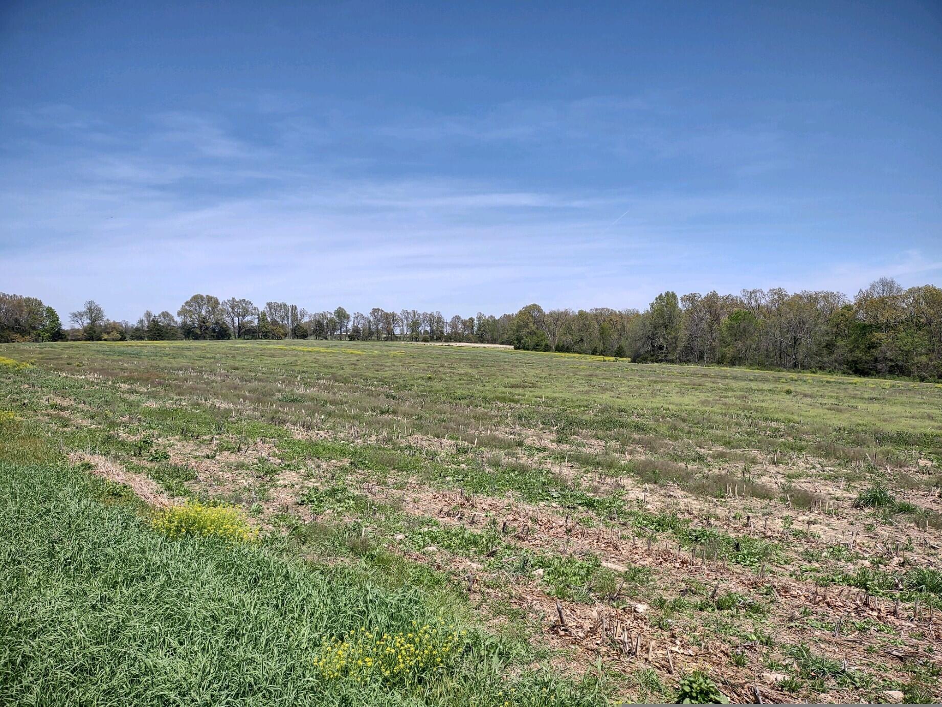 Very nice acreage with improved pasture, and privacy. Paved road to Strafford/I-44. Great place to build a home. More land available! Common sense restrictions that protects the neighborhood as it develops. Easy access to trucking companies and buc-ee's.