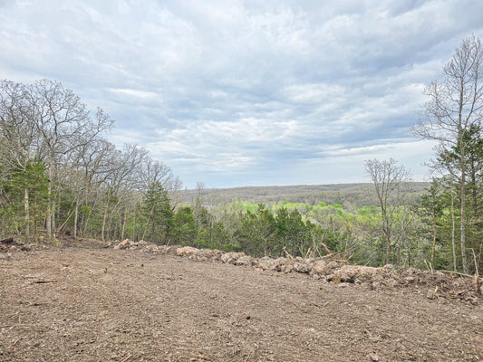 20 EASY LN, LOUISBURG, MO 65685 - Image bbfa028bc5a3f961384e04ec98ca5017/1353169899