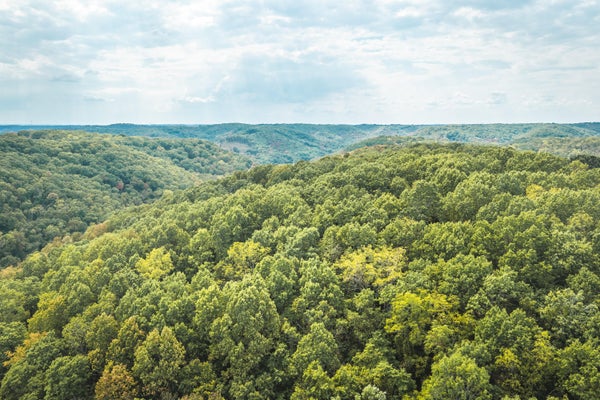 1190 US HIGHWAY 160, REEDS SPRING, MO 65737 - Image bd7f2cd97c1579b6cd6b847f6fab2ab5/1556286218
