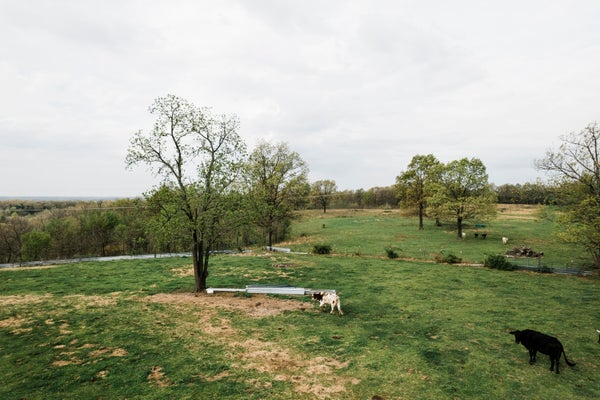 000 BUCKEYE LANE, STELLA, MO 64867 - Image bd914e86ab8931467b820fc5b69bf2e0/2821697408