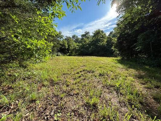 46 PRIVATE RD, GAINESVILLE, MO 65655 - Image be3fcb400331e06b4e22e098d0c67a1b/2142336628