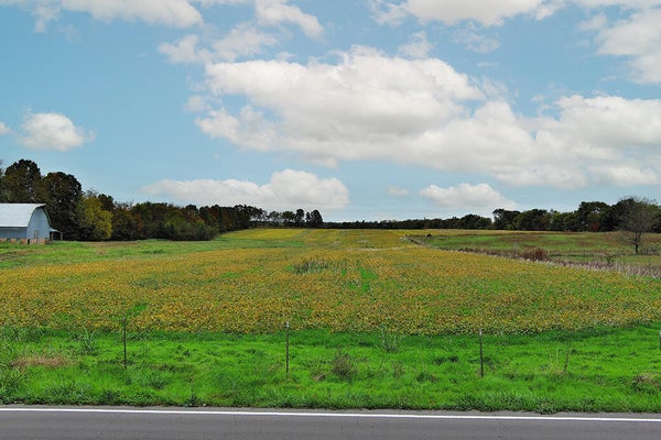 W FARM RD 194, REPUBLIC, MO 65738 - Image be770ed9ca21dc286434503148e68cc5/639946617