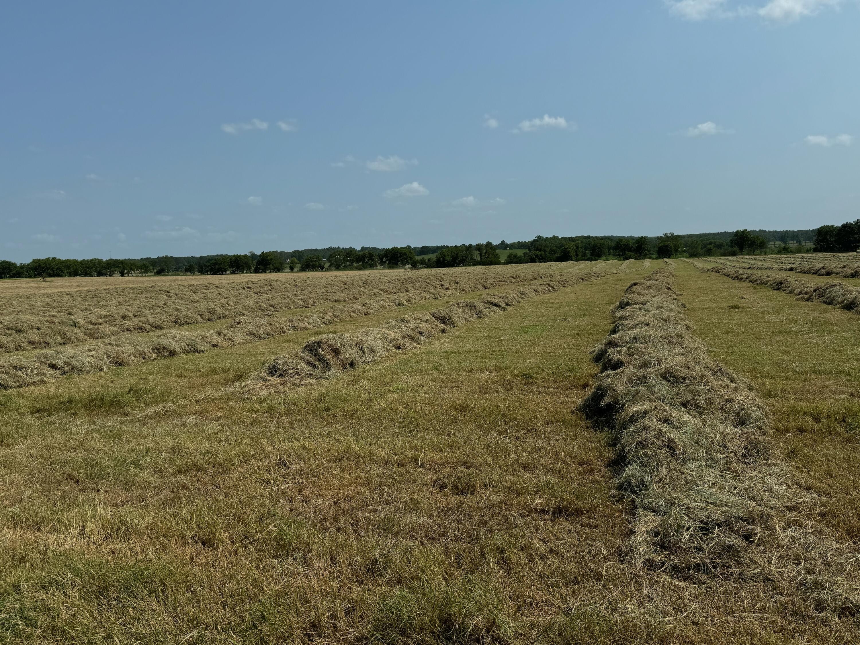 N/A - Farm