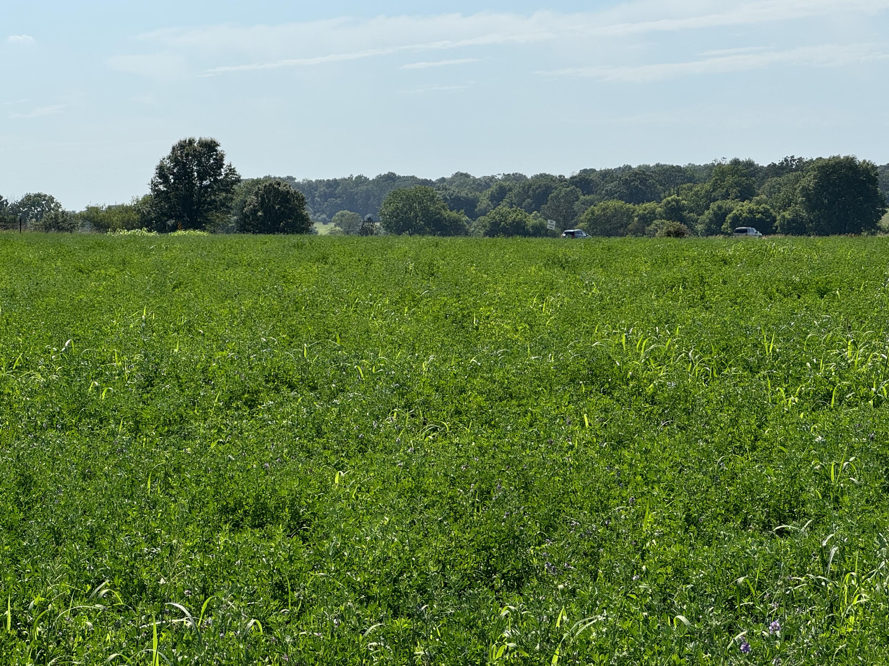 N/A - Farm