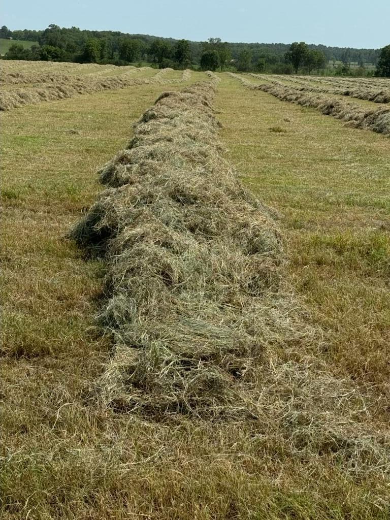 N/A - Farm