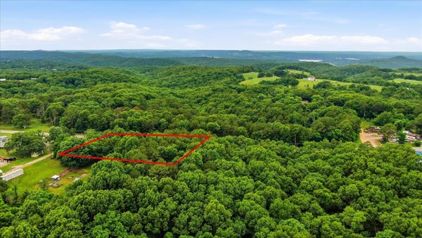 104 STATE HIGHWAY 13, BLUE EYE, MO 65611 - Image bf45093910a90fc29fe2da06b87e6f42/2313079726