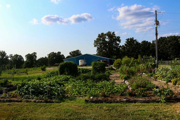 3339 US 63, KOSHKONONG, MO 65692 - Image c120e732eb68f8cf541503c25dde66f2/107502880