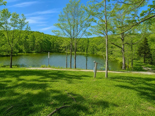 420 LAKE VALLEY DR, SEYMOUR, MO 65746 - Image c14d8f7722eaf1312f640f30a8f121ff/3223680713