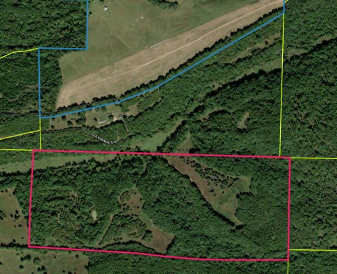 ADDRESS PRIVATE, WASOLA, MO 65773 - Image c1d4fcbb29de835688a3202e5e80b446/1014755257