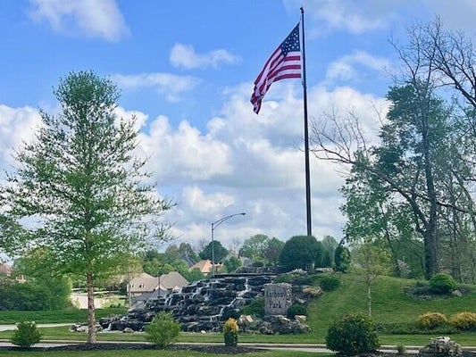 ANTHONY CT, SPRINGFIELD, MO 65804 - Image c1e7e2f492c2bba29e5d4d1832938f06/4167143375