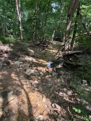 ADDRESS PRIVATE, VANZANT, MO 65768 - Image c20bdf67679d61963781ac88968cbb2d/3455820069