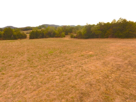 000 E HIGHWAY TRACT 3, EAGLE ROCK, MO 65641 - Image c278ee2ced3c798156b4a0f486e8b446/2853321138