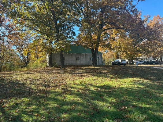 6659 STATE HIGHWAY 176, WALNUT SHADE, MO 65771 - Image c2f4a28d06c4c1992d6e1cf665e1b397/3095756213
